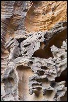 Intricate sandstone cliffs, Lobo Canyon, Santa Rosa Island. Channel Islands National Park ( color)