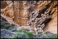 Water-sculpted sandstone cliffs, Lobo Canyon, Santa Rosa Island. Channel Islands National Park ( color)