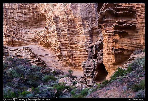 Base of sculpted sandstone cliffs, Lobo Canyon, Santa Rosa Island. Channel Islands National Park (color)