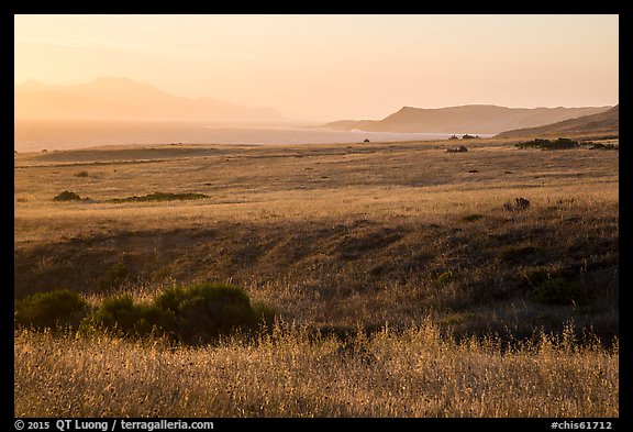 Grasses, Skunk Point, and Santa Cruz Island, sunrise, Santa Rosa Island. Channel Islands National Park, California, USA.