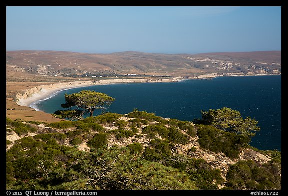 Torrey Pines and Bechers Bay, Santa Rosa Island. Channel Islands National Park (color)