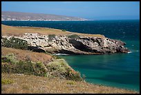 Black Point on windy day, Santa Rosa Island. Channel Islands National Park ( color)