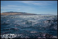 Large Ocean swell, Santa Cruz and Santa Rosa Islands. Channel Islands National Park ( color)