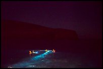 Night divers in water, Santa Barbara Island. Channel Islands National Park ( color)