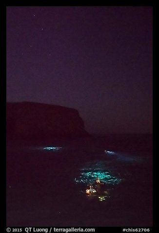 Night diving with lights, Santa Barbara Island. Channel Islands National Park, California, USA.