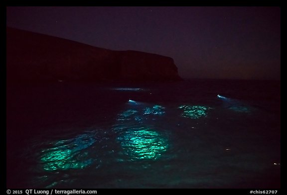 Underwater lights from divers, Santa Barbara Island. Channel Islands National Park, California, USA.