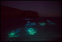 Underwater lights from divers, Santa Barbara Island. Channel Islands National Park, California, USA.