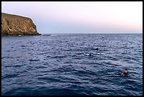 Divers surface at dawn, Santa Barbara Island. Channel Islands National Park, California, USA.
