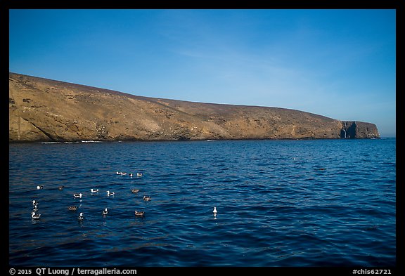 Seabirds and Arch Point, Santa Barbara Island. Channel Islands National Park, California, USA.