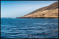Sea lions and Santa Barbara Island. Channel Islands National Park ( color)