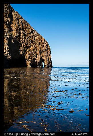 Sea cliff and kelp, Santa Cruz Island. Channel Islands National Park (color)