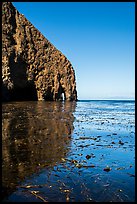 Sea cliff and kelp, Santa Cruz Island. Channel Islands National Park ( color)