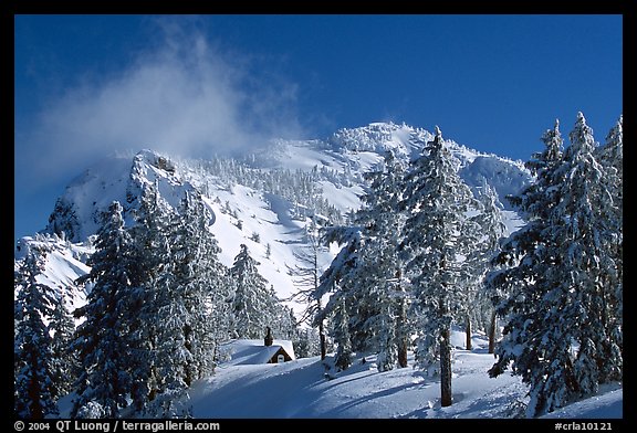 Trees, cabin, and Mt Garfield in winter. Crater Lake National Park, Oregon, USA.