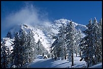 Trees, cabin, and Mt Garfield in winter. Crater Lake National Park, Oregon, USA.