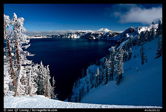 Snow-covered trees and dark lake waters. Crater Lake National Park (color)