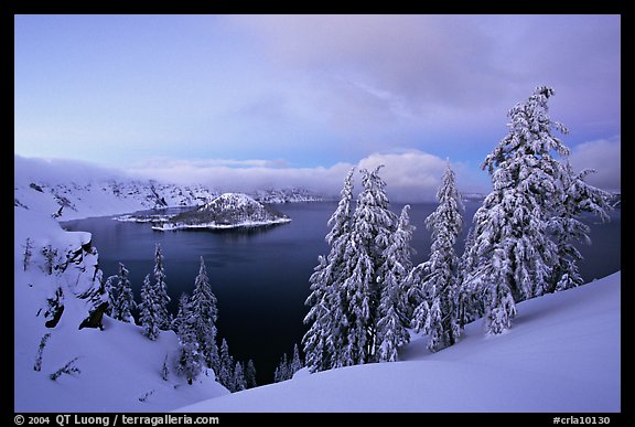 Wizard Island and Lake at dusk, framed by snow-covered trees. Crater Lake National Park, Oregon, USA.