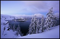 Wizard Island and Lake at dusk, framed by snow-covered trees. Crater Lake National Park, Oregon, USA.