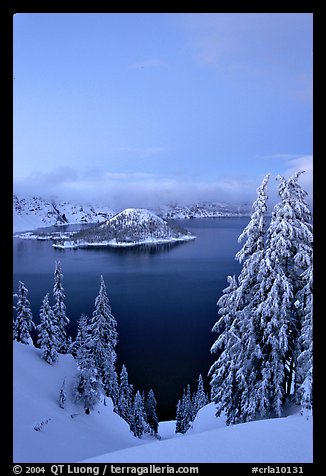 Wizard Island and Lake at dusk, framed by snow-covered trees. Crater Lake National Park, Oregon, USA.