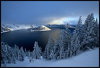 Trees, Lake and Wizard Island, cloudy winter sunrise. Crater Lake National Park, Oregon, USA.