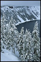 Trees and Lake rim in winter. Crater Lake National Park, Oregon, USA.