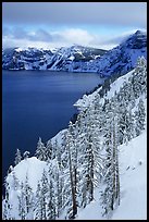 Cliffs, conifer trees, and lake in winter with cloudy skies. Crater Lake National Park, Oregon, USA. (color)