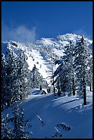 Cabin in winter with trees and mountain. Crater Lake National Park, Oregon, USA.