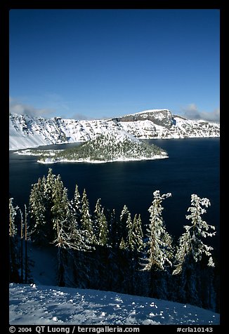 Trees, Wizard Island, and Lake in winter, afternoon. Crater Lake National Park, Oregon, USA.