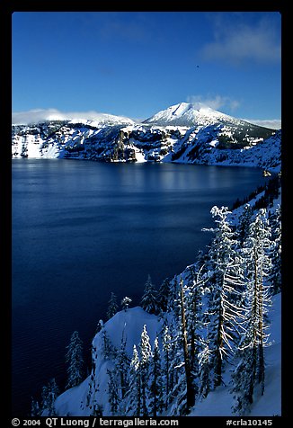 Lake rim in winter with blue skies. Crater Lake National Park (color)