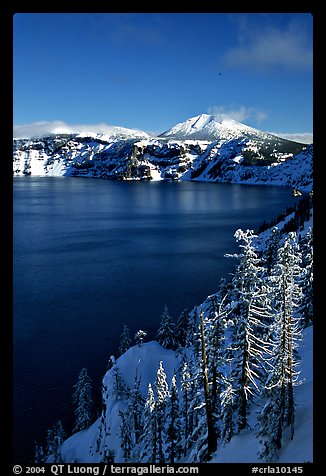 Lake rim in winter with blue skies. Crater Lake National Park, Oregon, USA.