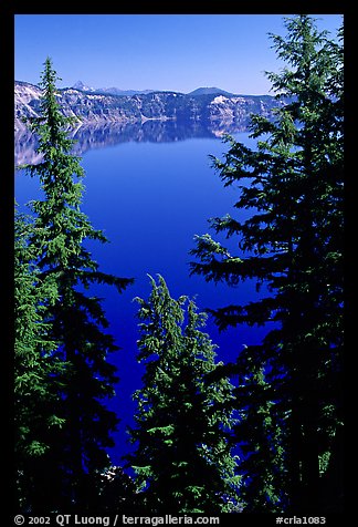 Trees and Lake. Crater Lake National Park, Oregon, USA.