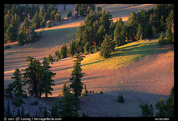 Volcanic hills and pine trees. Crater Lake National Park, Oregon, USA.