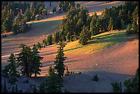 Volcanic hills and pine trees. Crater Lake National Park, Oregon, USA.