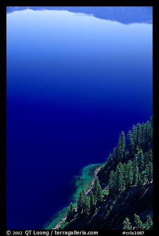 Trees and blue lake waters. Crater Lake National Park (color)