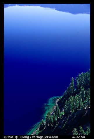 Trees and blue lake waters. Crater Lake National Park, Oregon, USA.