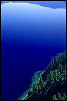 Trees and blue lake waters. Crater Lake National Park, Oregon, USA.