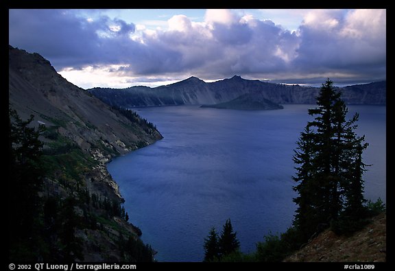 Tree, lake and clouds, Sun Notch. Crater Lake National Park, Oregon, USA.