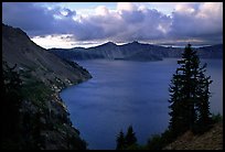 Tree, lake and clouds, Sun Notch. Crater Lake National Park, Oregon, USA.