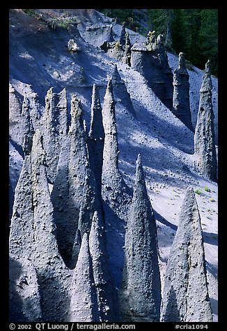 Ancient fossilized vents. Crater Lake National Park, Oregon, USA.