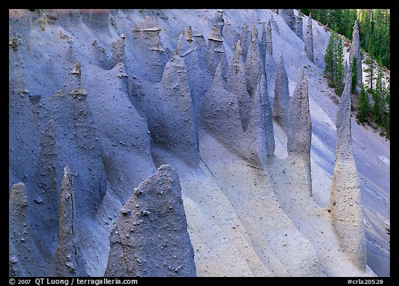 Fossilized volcanic steam vents. Crater Lake National Park, Oregon, USA.