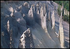 Vertical columns of volcanic origin. Crater Lake National Park, Oregon, USA.