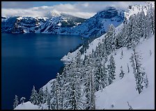 Snowy trees and slopes. Crater Lake National Park, Oregon, USA.