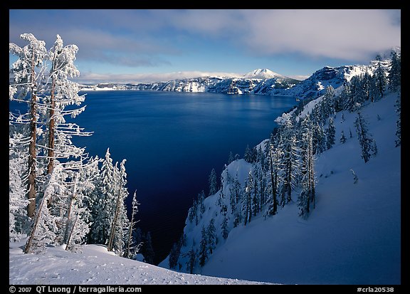 Snow-covered trees and dark lake waters. Crater Lake National Park (color)