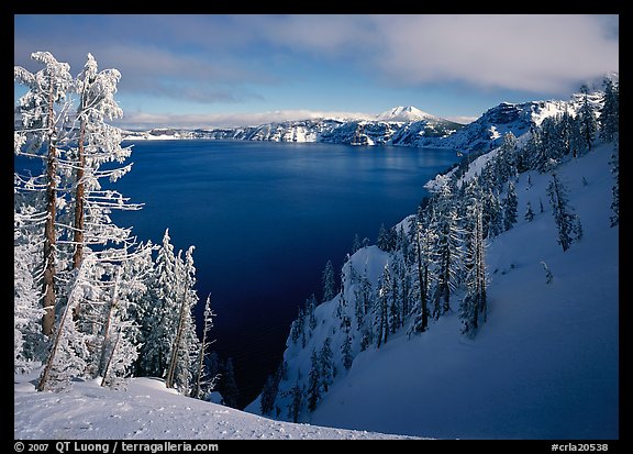 Snow-covered trees and dark lake waters. Crater Lake National Park, Oregon, USA.