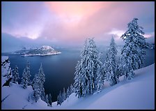 Snowy trees and lake with low clouds colored by sunset. Crater Lake National Park, Oregon, USA. (color)
