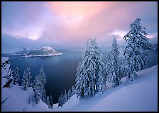 Snowy trees and lake with low clouds colored by sunset. Crater Lake National Park, Oregon, USA.