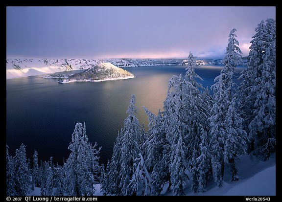 Conifers, Lake and Wizard Island, winter sunrise. Crater Lake National Park, Oregon, USA.