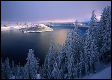 Conifers, Lake and Wizard Island, winter sunrise. Crater Lake National Park ( color)