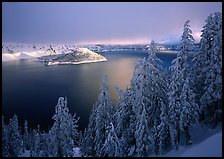 Conifers, Lake and Wizard Island, winter sunrise. Crater Lake National Park, Oregon, USA.