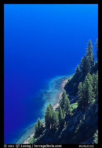 Pine trees and blue waters. Crater Lake National Park (color)