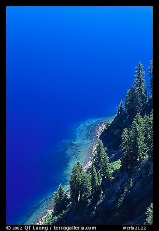 Pine trees and blue waters. Crater Lake National Park, Oregon, USA.